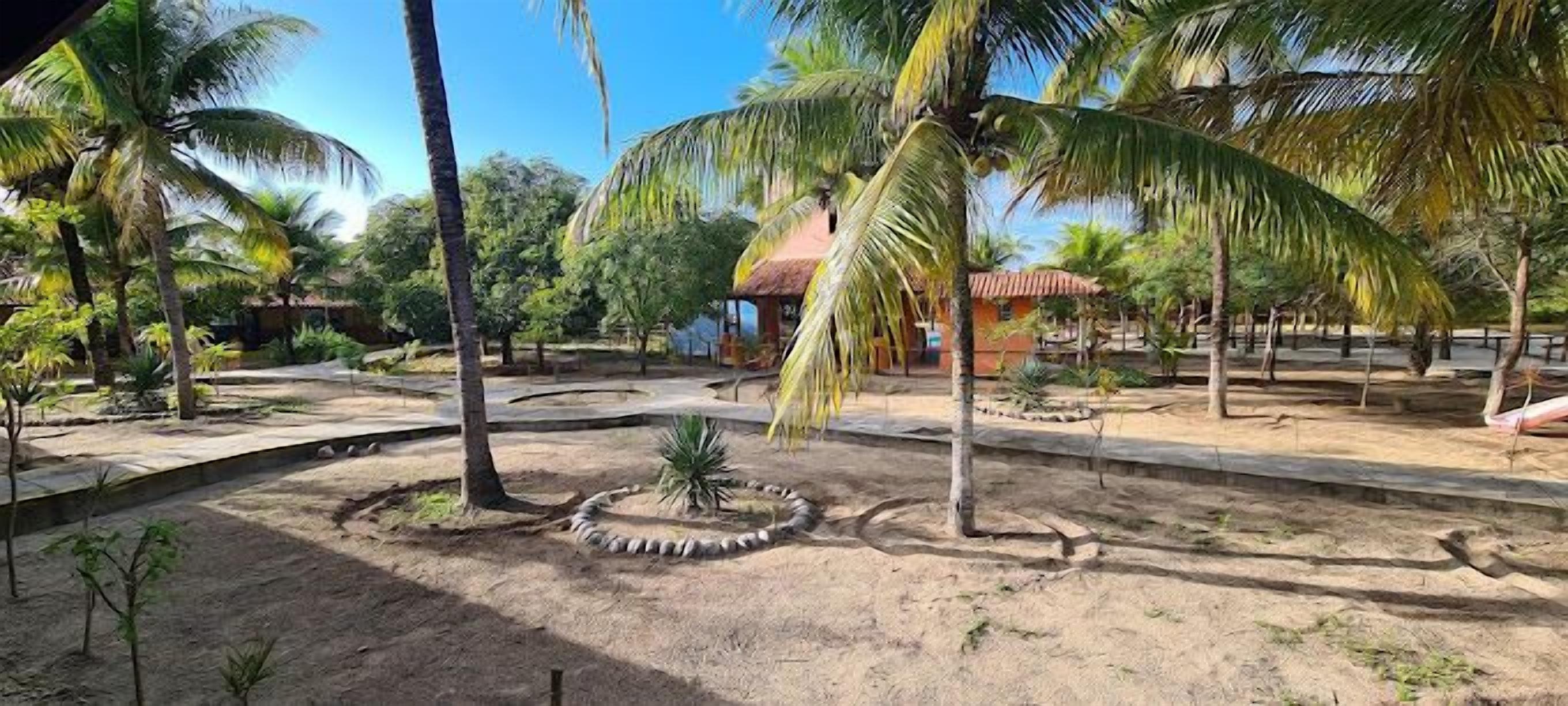 Tropische tuin met palmbomen, een klein rond waterbassin en een gebouw met een rood dak.