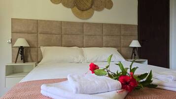 Habitación clásica, vista al patio | 1 habitación y wifi gratis