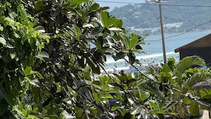 Vista costera con vegetación densa en primer plano, una playa con gente a lo lejos y un cielo despejado.