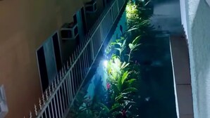 Un callejón estrecho flanqueado por edificios, con balcones y un pequeño jardín con plantas e iluminación.