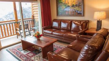 TV connectée, cheminée, lecteur de DVD, chaîne hi-fi