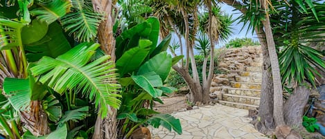 Áreas de la propiedad