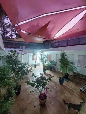 An outdoor courtyard with potted plants, a covered seating area, and a dog.