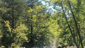 A water body with inflatable rafts and people engaging in water activities. - Perfect RV campground in Ravenden Springs for a peaceful getaway (Ravenden Springs)
