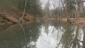 A calm river with reflections of trees and a forested area. - Perfect RV campground in Ravenden Springs for a peaceful getaway (Ravenden Springs)