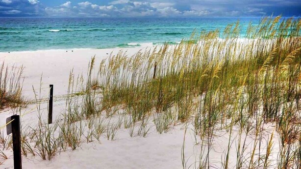 A beach with sand and grass in the foreground, and a clear blue sky with clouds in the background. - Amenities in this walk to Beach, New 3bed/3.5bath (Cape Charles)