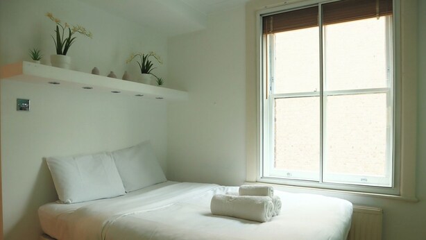 A bedroom with a bed, white pillows, a bedside table, a window with blinds, and a shelf with plants.