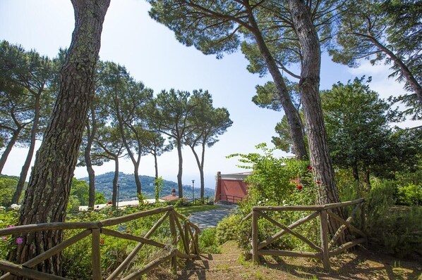 Property grounds - Villa Liana - Private villa with pool (Sant'Agata Sui Due Golfi)