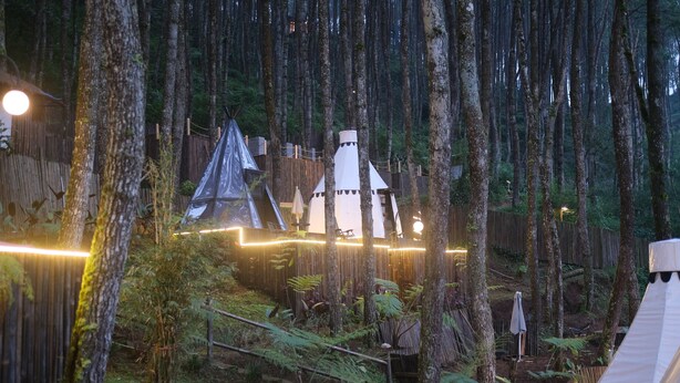 A forested area with multiple tents and a wooden fence. - Regan Luxcamp by Digihub Hospitality (Pangalengan)
