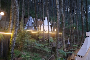 Luxury Tent | 1 bedroom