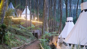 A forested area with white tents and a wooden pathway. - Regan Luxcamp by Digihub Hospitality (Pangalengan)