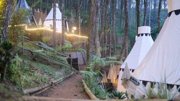 Tenda de campanya de luxe | 1 dormitori