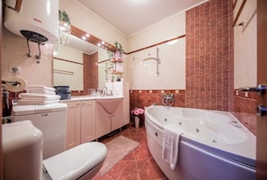 Séchoir à cheveux, serviettes fournies, savon, papier de toilette