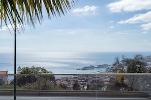 Property grounds - Villa Andrade Ocean View (Funchal)