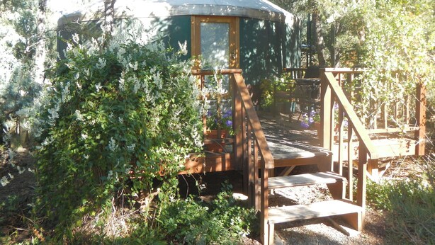 Um deck de madeira leva a uma estrutura coberta, com vista para um jardim e árvores.