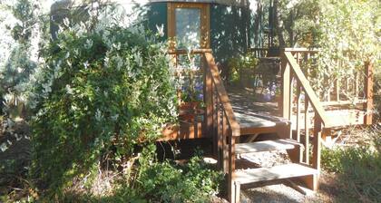 Middle Yurt Nestled in the Trees