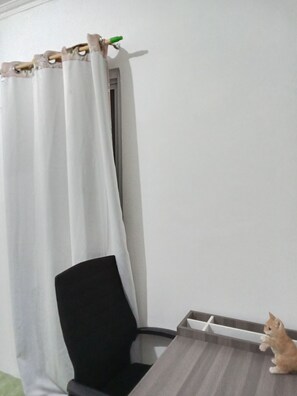 Standard Single Room | Free WiFi - Kostel Rumah Nenek (Jakarta)