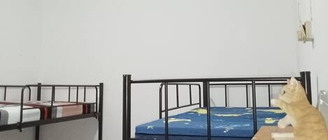 Dormitorio compartido estándar | Wifi gratis