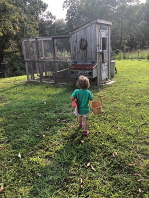 A child walking towards a wooden structure with a mesh enclosure, possibly a chicken coop, in a grassy outdoor area. - Charming 2-bedroom house in quiet small town near Nashville (Ashland City)