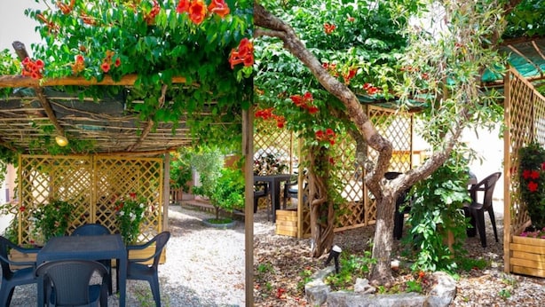 Un jardín con una pérgola, una mesa con sillas y un árbol de flores rojas.