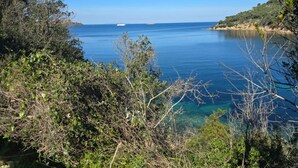 Un paisaje costero con vegetación densa y un mar azul cristalino.