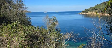 A coastal landscape with dense vegetation and a clear blue sea.