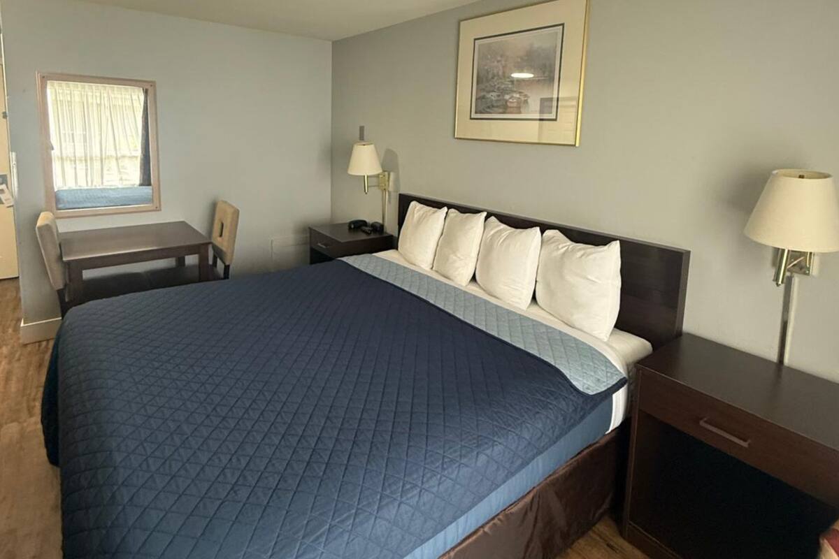 Standard Room, 1 King Bed, Non Smoking | Desk, laptop workspace, iron/ironing board, free WiFi