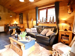 Televisión, chimenea, reproductor de DVD