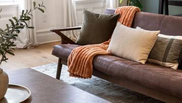 TV connectée, cheminée, chaîne hi-fi