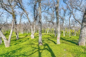 Property grounds - Fish, Hike & Relax: Rural Red Bluff Cottage (Red Bluff)