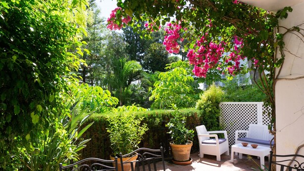 Terrasse/patio
