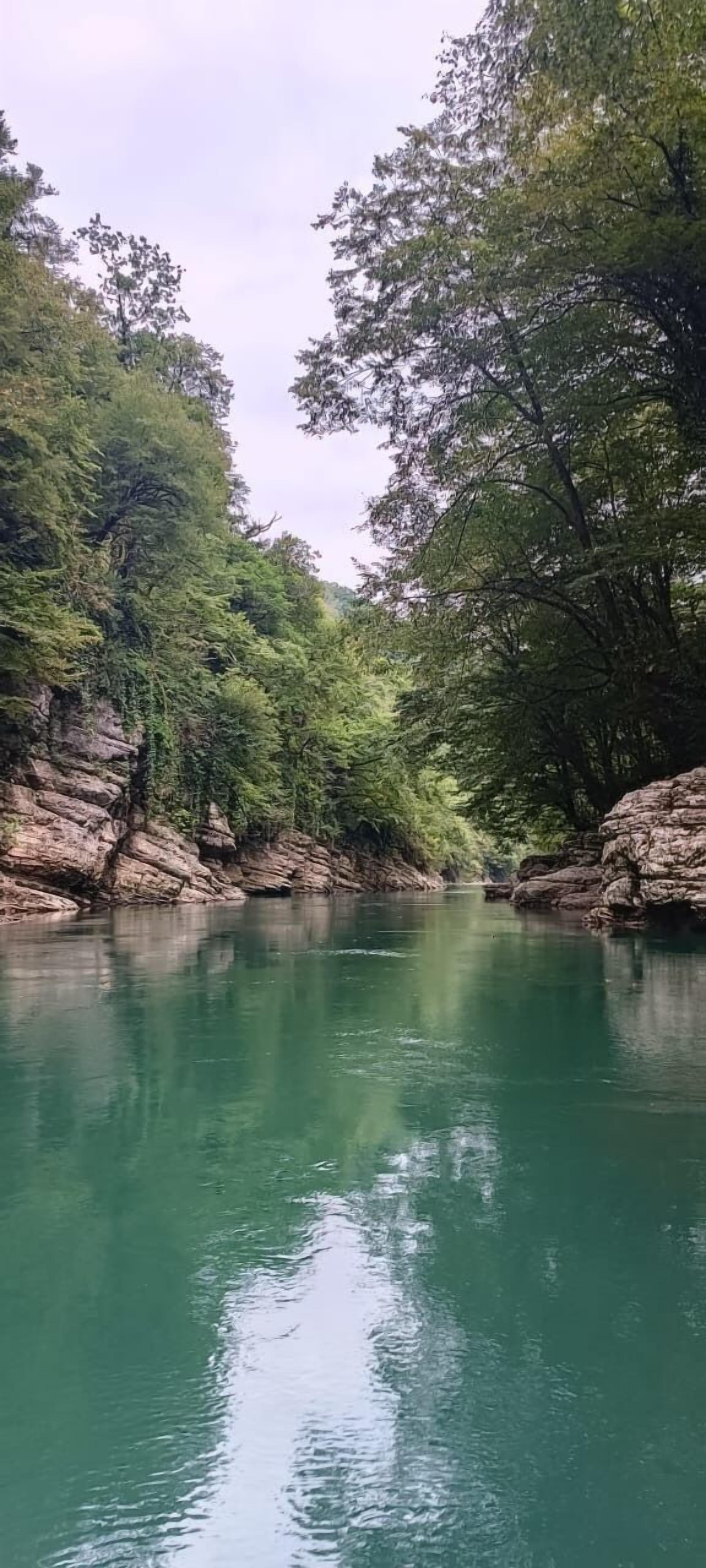 A serene river surrounded by dense greenery and rocky cliffs.