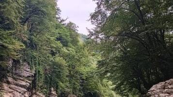 A serene river surrounded by dense greenery and rocky cliffs.