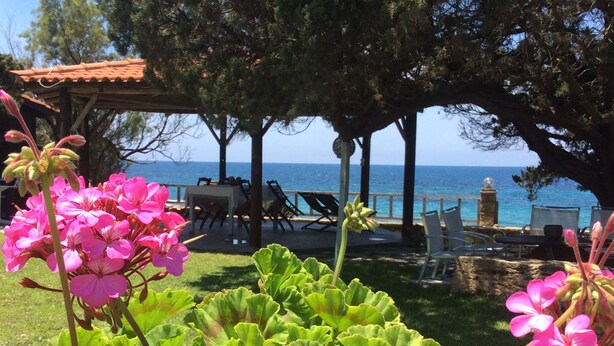 Property grounds - Genari Beach Apartments -Family sea view apartment (Leventochori)