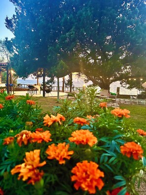 Ein Park mit Sitzgelegenheiten im Freien und Blick aufs Meer.