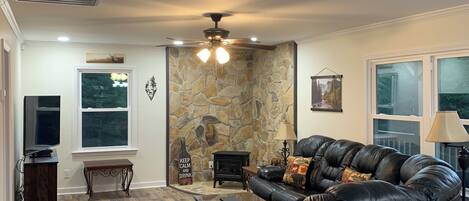 TV connectée, cheminée, lecteur de DVD, livres