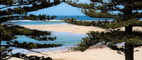 بالقرب من الشاطئ