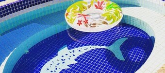 Regina Francesca Villa. Diversa