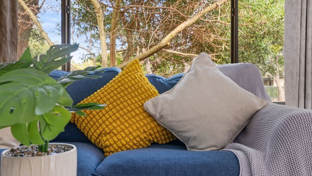 A blue sofa with a yellow textured pillow and a grey pillow, a potted plant, and a view of trees through a window.