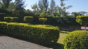 Un jardin bien entretenu, avec des haies soigneusement taillées, un chemin de gravier et de grands arbres.