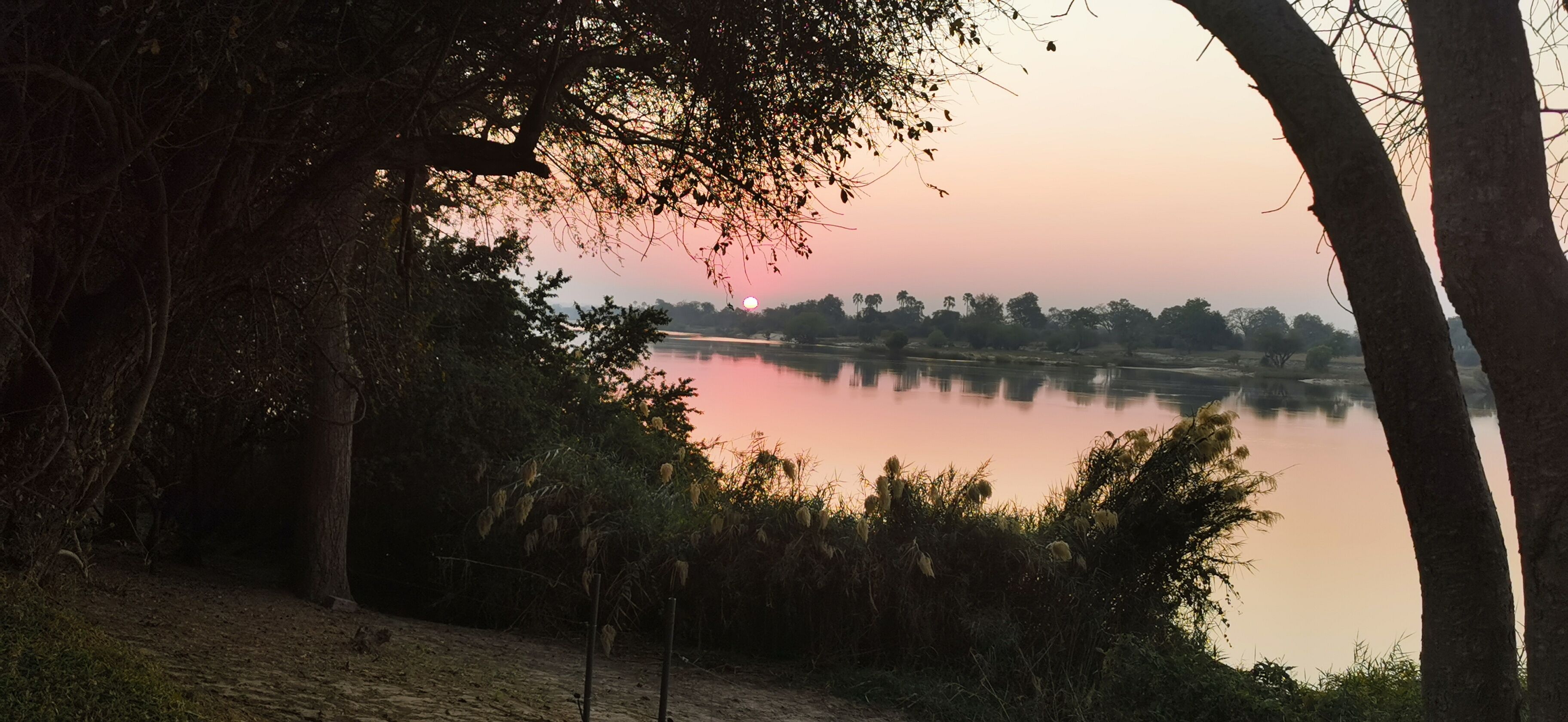 Una vista tranquila del lago, con árboles enmarcando el paisaje.
