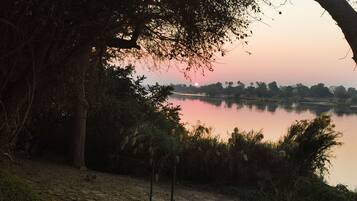 Una vista tranquila del lago, con árboles enmarcando el paisaje.