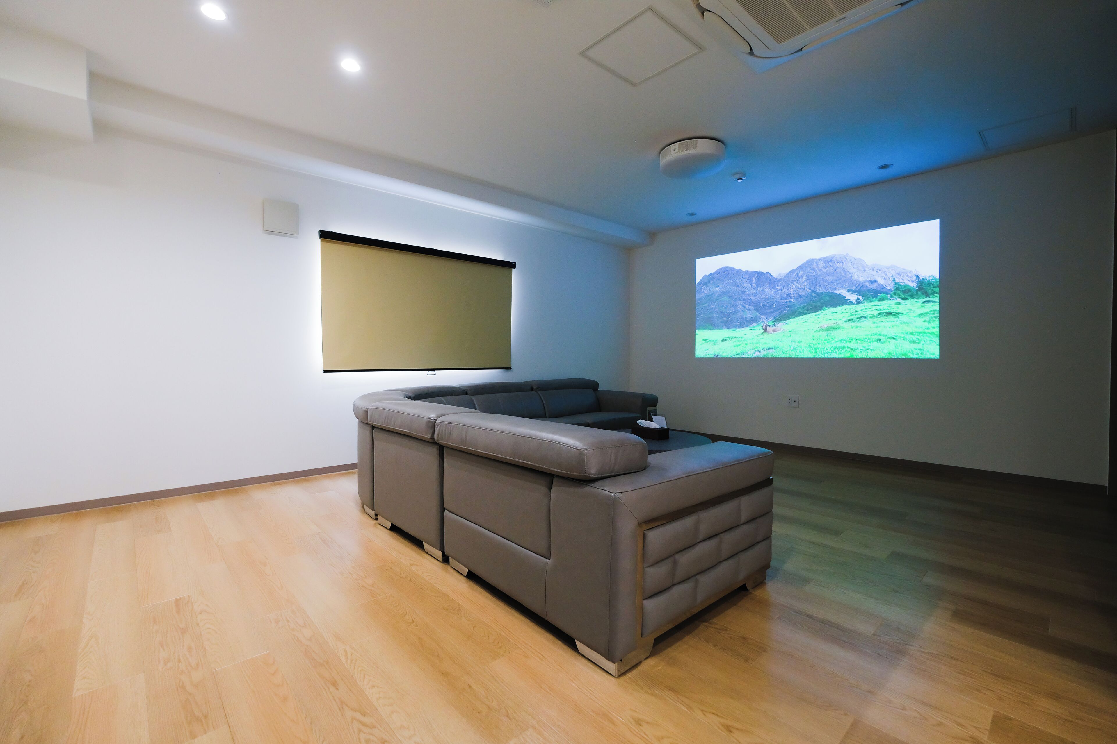 Una sala de estar moderna con un sofá seccional, un televisor de pantalla plana y una gran pantalla de proyección que muestra un paisaje.