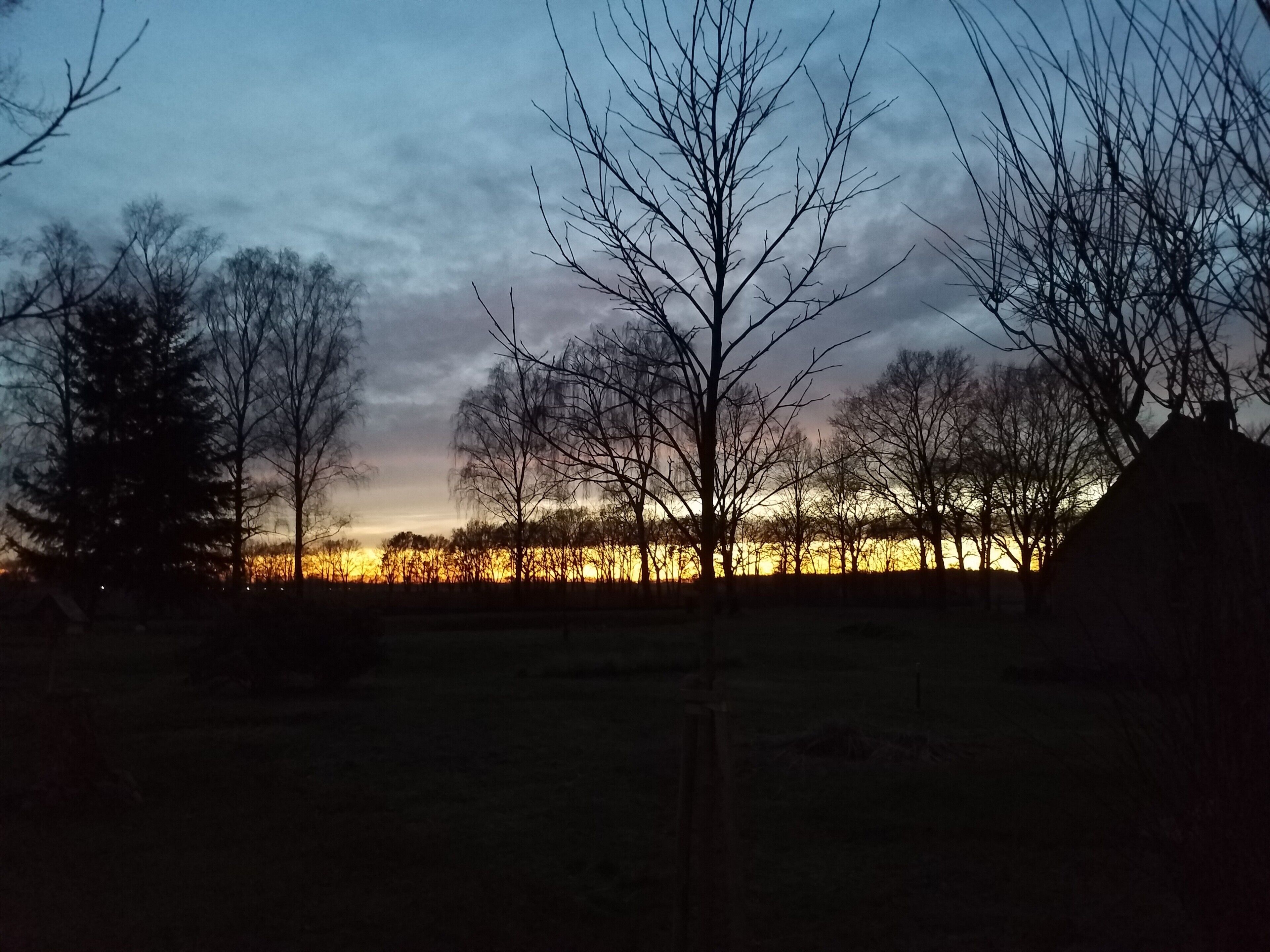 A landscape with trees and a distant view of a body of water during twilight.