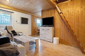 تلفزيون، مشغل دي في دي، ستيريو