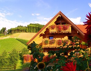 Una cabaña de madera con balcón, rodeada por un viñedo y un bosque.