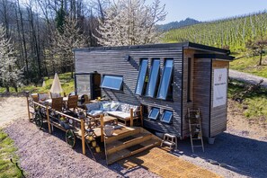 تناول الطعام بالخارج