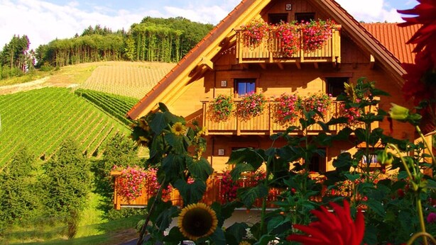 A wooden chalet with a balcony, surrounded by a vineyard and forest.