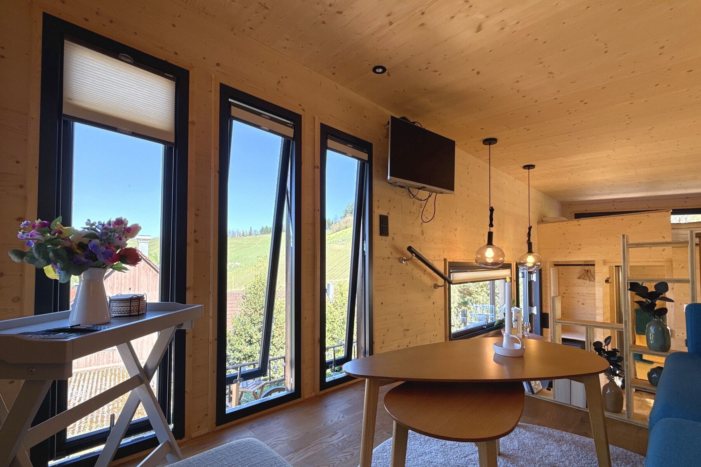 Fernseher, DVD-Player, Tischtennisplatte