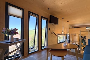 TV, DVD player, table tennis